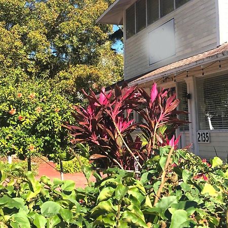 The Hibiscus House Of Fort Myers Exteriör bild